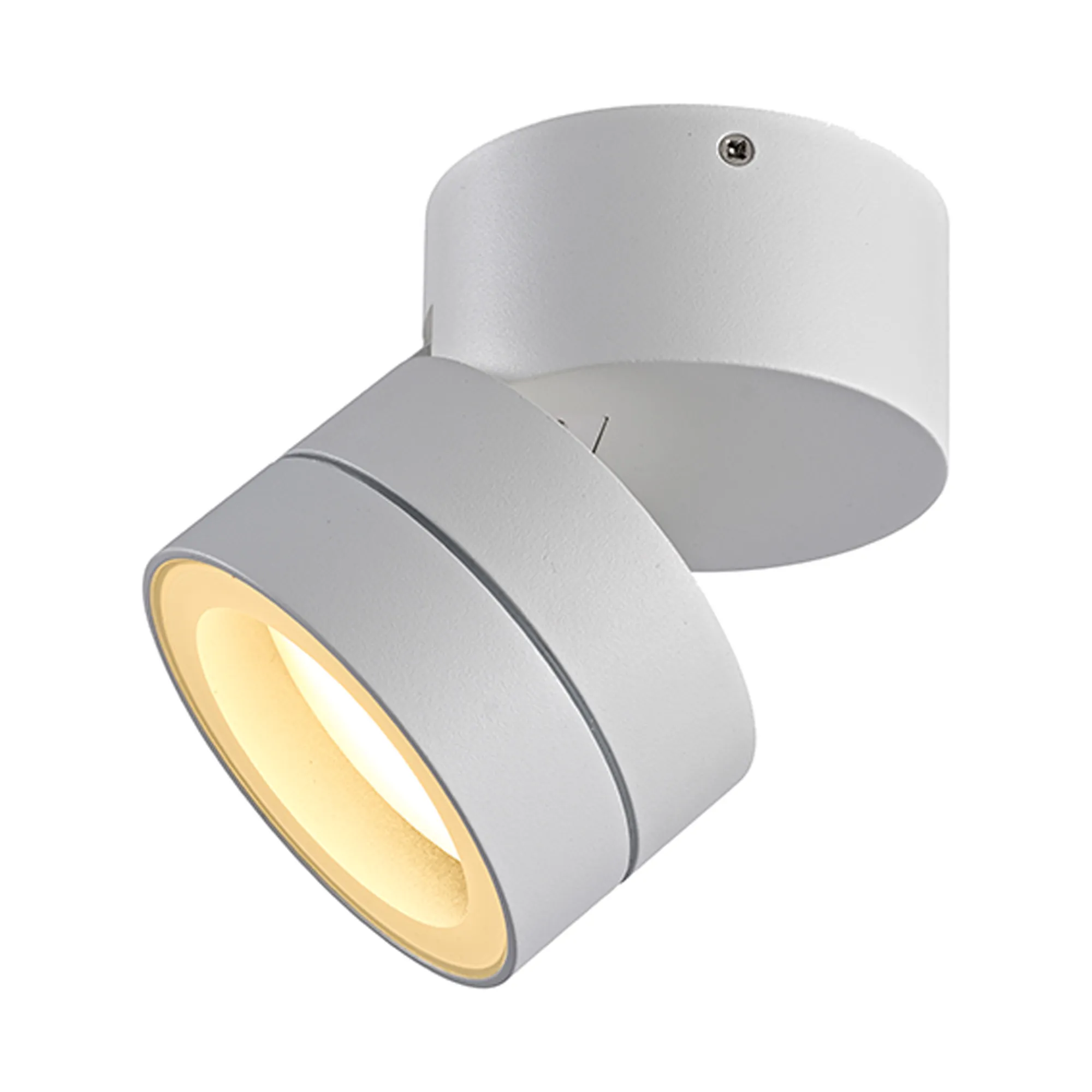 M9101/2700K  Saler Adjustable Dimmable Ceiling Spotlight/Wall Light, 1 Light, With Replaceable 12W LEDs, 2700K, Rust Brown, IP65